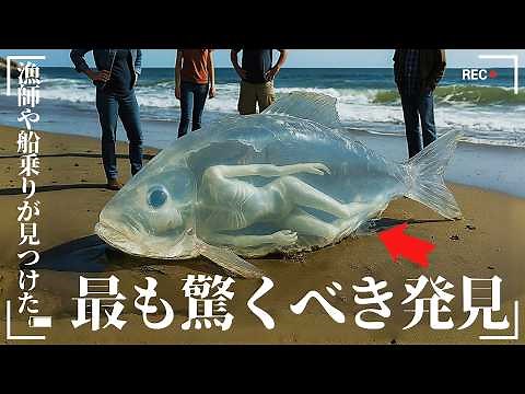 [Horrifying] 10 Amazing Deep Sea Creatures Discovered by Fishermen! The Internet is abuzz with th...