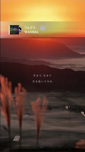 🎧りんどう／WANIMA #歌詞動画 #音楽 #りんどう #wanima