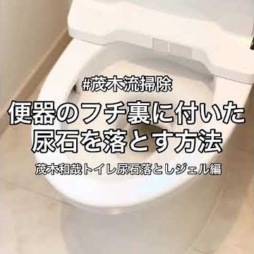 便器のフチ裏についた尿石を落とす方法！