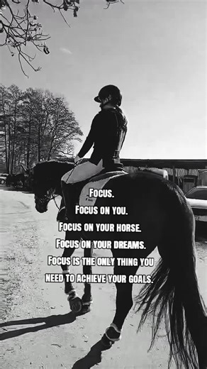 The Power of Focus in Equestrian Performance