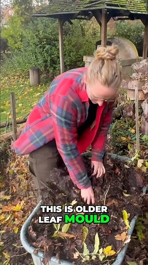 🍂 Biodynamic Gardening Jobs for November 🌕 Hallooo from the garden! 🌱 Jason, alongside Ruskin Mill colleagues, is back with your biodynamic gardening guidance for November. 📅 This month: Finish your compost piles & gather those last falling leaves for leaf mould Save seeds as plants die back Plant garlic & onions to overwinter for a spring harvest Clean, sharpen, and organise tools 🧰 Start your crop plan for next year (yes, already!) 🌕 Big moon moments: 5 Nov: Full Moon in Aries Perigee =