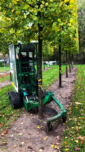 72K views · 705 reactions | How to shift big trees #flowerphotography...