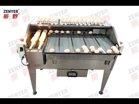 ZENYER 100A egg grader grading sorting machine 2000 eggs per hour