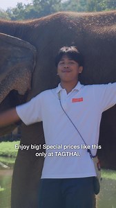 47 reactions | Make your trip to Chiang Mai more special by hugging the elephants with TAGTHAi. Get 15% off for all city pass, Bangkok , Pattaya , Chiangmai , Phuket on TAGTHAi app, fill the secret code ‘FESTIVE15’ at checkout! Download now! Travel Thailand easily. Make local Thais happy. #PanpuriWellness #TAGTHAi #TravelThailandEasily #TravelwithTAGTHAi #amazingthailand | TAGTHAi | Facebook