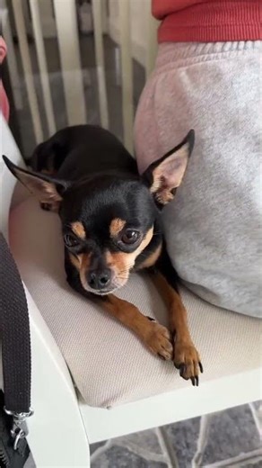 The Bulky Oversized Pullover: because some patterns are too good to make just once. 🔄