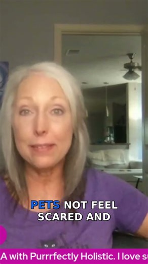 Did You Know That Cats Can See Ghosts and Spirits?