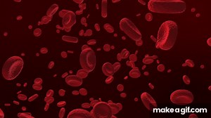 Red Blood Cell Animation on Make a GIF