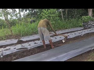 Techniques for Hoeing Garden Soil Tidying Up the Soil — Agriculture Farming