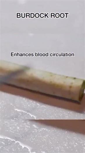 Revitalize your wellness routine with our premium Burdock Root—your natural detox partner! Experience its powerful benefits for gut health and vitality Boost your journey to a healthier you with a touch of nature’s best. Comment “root” for direct link #instahealth #organicliving #detoxtime ##freeshipping #burdockroot | Meelah Moss