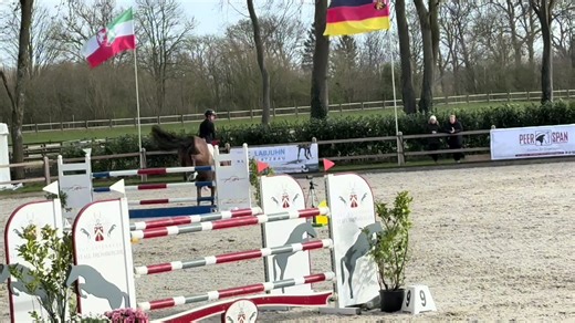 Smooth operator Drama Queen🤍clear and 7th place in the 140cm speed class today✨🏄 #showjumping #fy #dramaqueen