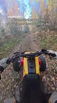 These things are way too fast #yamaha #banshee #atv #fast #350 ‪@insta360‬