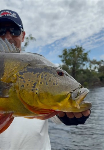 Always need a scale for the big fish #fishingvideos #fishingviral #fishingcontent #fishingtiktok #bigfish