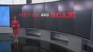No chill: The Netflix scam that could leave you broke