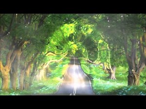 DreamScene video. Portal on forest road.