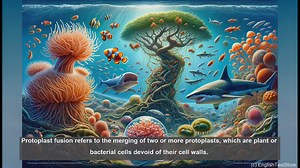 Protoplast fusion in biology