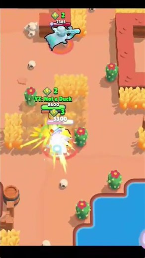 POV: every Shelli in Solo Showdown