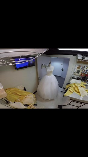 Creating Princess Tiana's Dress Challenge in 24 Hours!