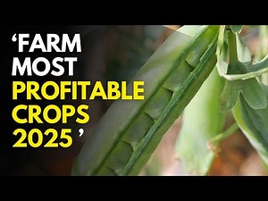 5 Most Profitable Crops to Grow in 2025 for Small Scale Farmers