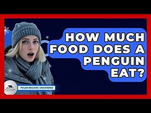 How Much Food Does A Penguin Eat? - Polar Regions Uncovered