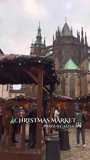 Will | Prague tips in English na TikTok