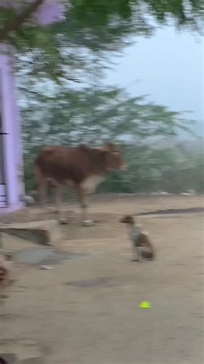 ꧁༒ⒿⓎⓄⓉⒾ༒꧂ on Instagram: "😅😅"