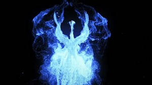 Phoenix Fire Bird Flaming Phoenix Intro Stock Footage Video (100% Royalty-free) 3662013533 | Shutterstock