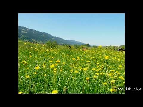 Luke Combs - Hurricane 1 Hour