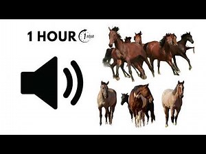 1 Hour of Multiple Horses Neighing — Real Stable Ambience & Nature ASMR