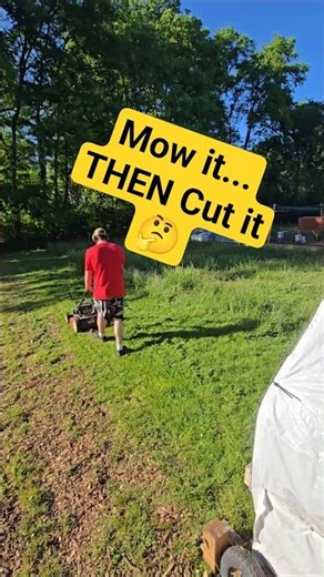Mowing Trick for Better Chicken Foraging! #homestead #backyardchickens #farmhack #pasturedpoultry