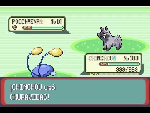 POKEMON EMERALD | CHINCHOU | CHUPAVIDAS | LEECH LIFE