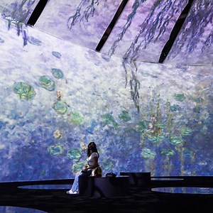 64K views · 1.5K reactions | Toronto's brand new Monet exhibit is out of this world  | blogTO | Facebook