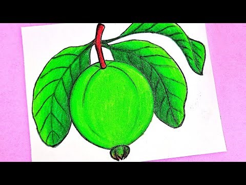 How to draw guava step by step || Easy guava drawing