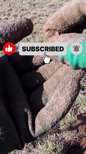 #metaldetecting #relichunting #treasure #minelab #explore