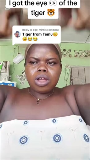 Funny Tiger Videos That Will Make You Smile