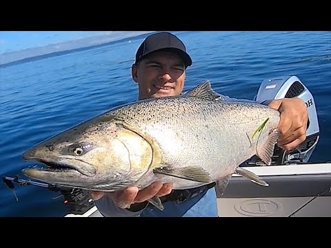 Brad's Superbait Lure Tested and Reviewed