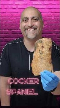 Can you see the COCKER SPANIEL? (Most People Can't)