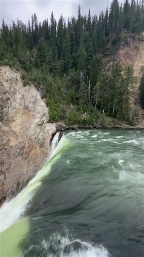 Lower Falls Yellowstone
