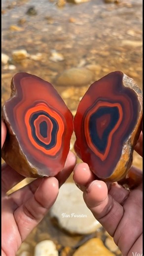 Amazing red agate finding, that is very beautiful #agate #gemstones #discovery #geology