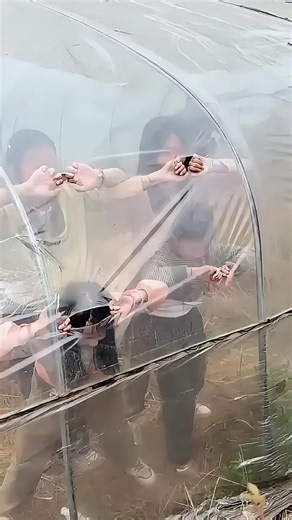 La leçon choquante d'un agriculteur face à la destruction