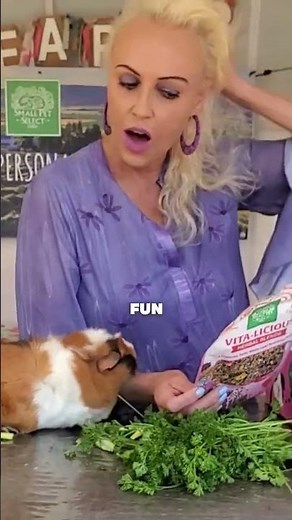 guinea pigs can have herbs and many are a nutritious and safe addition to their diet. #guineapig