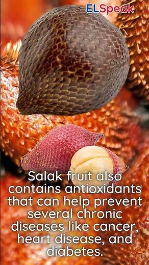 Salak - Discovering Exotic and Nutritious Salak Fruit - Health Benefits & Culinary Uses of Salak