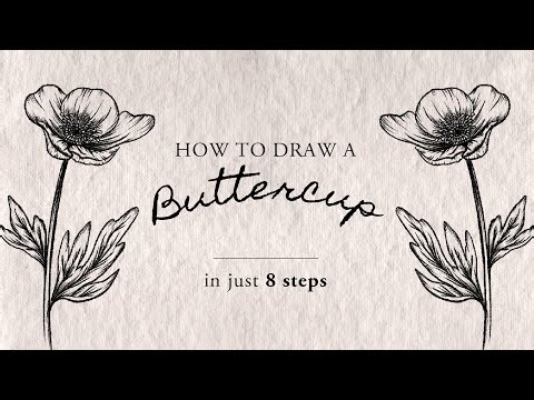 How To Draw a Buttercup | Easy To Follow Step By Step, Real Time Video