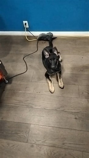 John Edward Munt on Reels