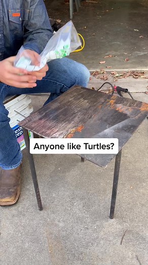 Favorite Turtle Welding Project - Which Turtle is Your Favorite?