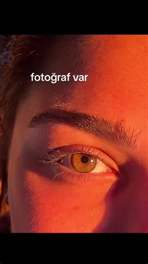 Captivating Close-Up of an Orange Iris