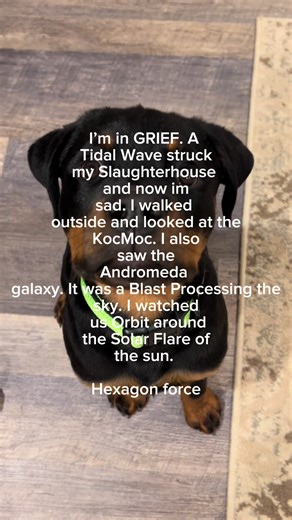A Humorous Take on Being the Best Poet