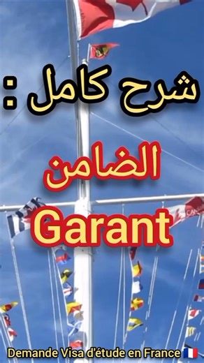 شرح كامل الضامن Garant#shorts