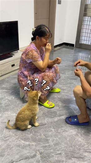 My puppy learned in one minute and answers quickly! Check comments 😄 @Guantech