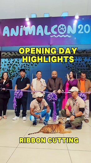 Opening Day Highlights: Zoomanity Group's CEO/President, Mr Robert Laurel Yupangco was among the important people at the Ribbon Cutting Ceremony that officially opened the doors to the AnimalCon 2024. He also did a talk to welcome the event guests, followed by the Zoomanity Group Grand Show, a collaboration of Zoobic Safari, Zoocobia Drone & Bird Park and ZOORI - Zoo at Residence Inn featuring Magic Show, Animal Show, Neon Show and LED Dancers. #animalcon2024 #AnimalConPH #ZoomanityGroup #themep