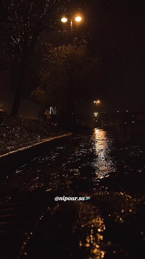 Ungowami Song Lyrics and Video Highlights